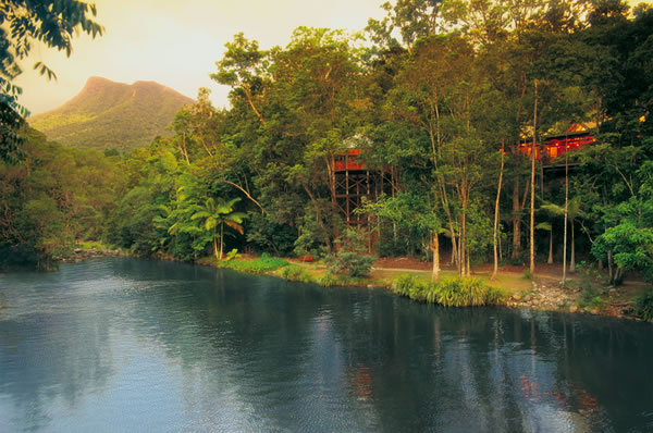Daintree Rainforest vegetación y hotel de lujo sobre el rio