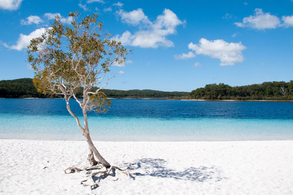 Playa de arenas blancas y mar de fondo Australia