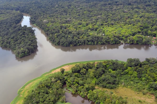Vista aerea de los ríos en Costa Rica y la selva