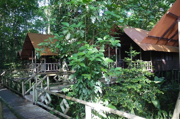 Casas estilo lodge en medio naturaleza en Tortuguero Costa Rica
