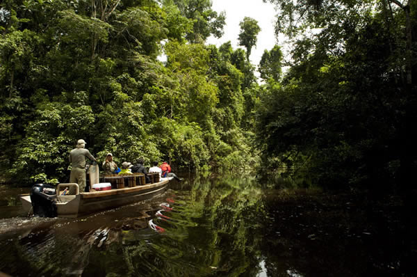 Actividades guiadas en barco en la selva Aqua Amazon