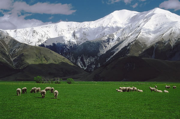 Paisaje montañoso en el sur de Nueva Zelanda viaje en choche de alquiler