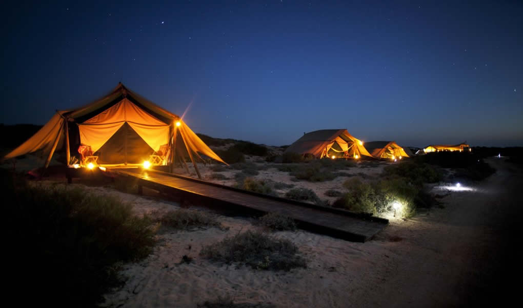 Tiendas de campaña sobre la playa iluminación nocturna