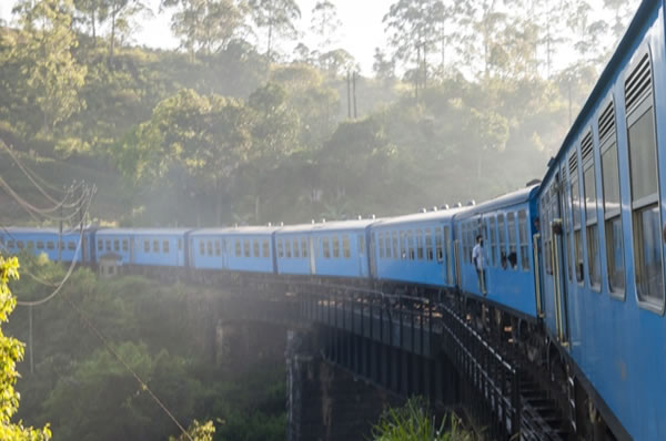 tren escenico Viajes a Sri Lanka  Nuwara Eliya a Kandy