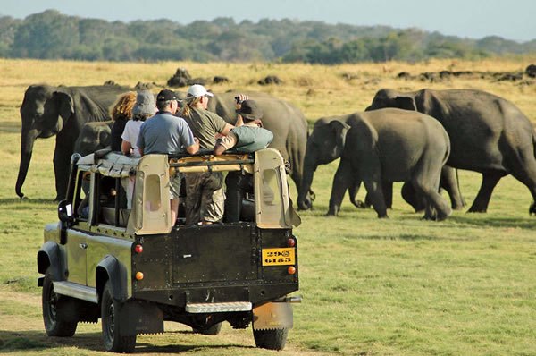 campo elefantes Viajes a Sri Lanka Safari Parque Nacional Yala