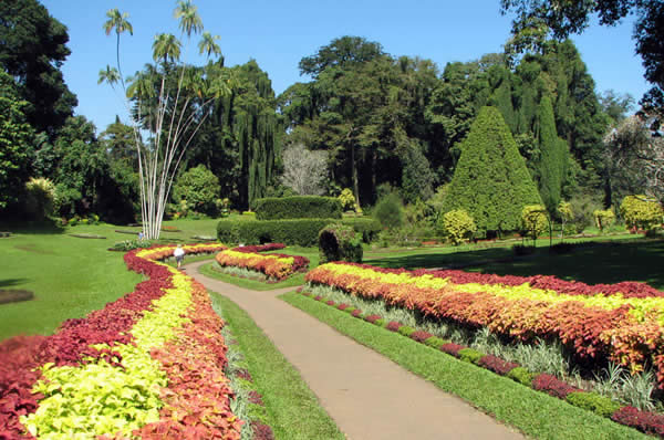 Viajes a Sri Lanka y maldivas Jardín Botánico de Peradeniya