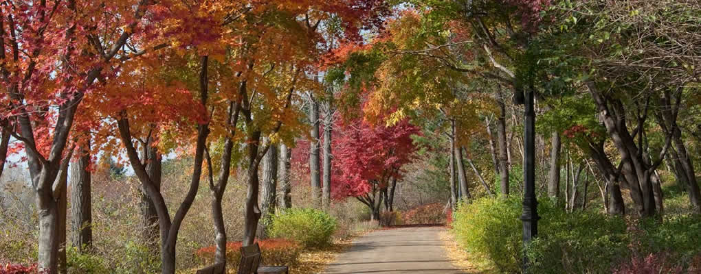 Viaje a Corea, guía de viaje a Corea