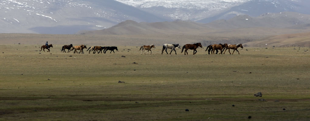 Viaje a Mongolia, guía de viaje Mongolia