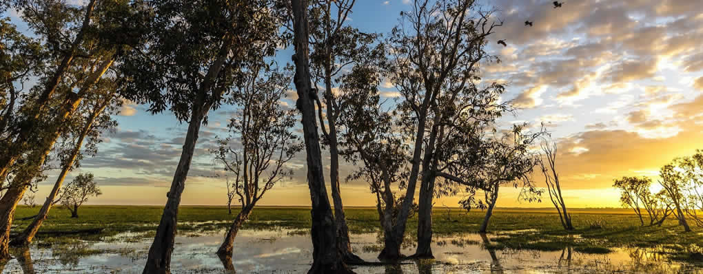 Paisaje en el Parque nacional Kakadu Bamurru Plains 