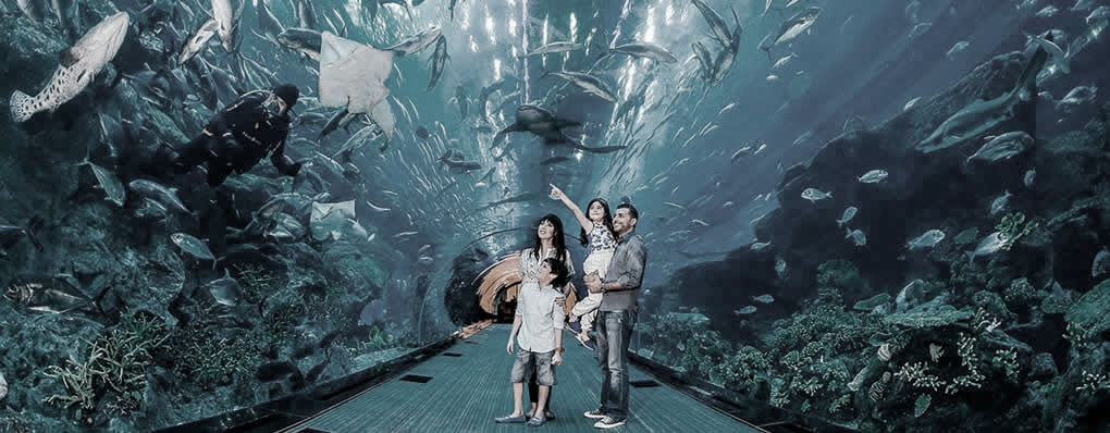 Familia en el tunel de Dubai Aquarium and Underwater Zoo