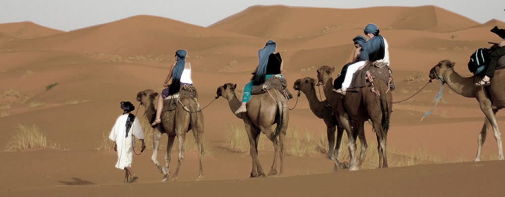 Grupo realizando un paseo en camello en familia desierto Dubai