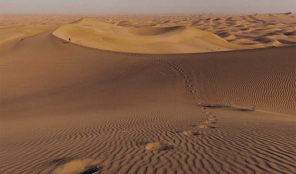 actividades en desierto Dubai Al Maha Desert Resort