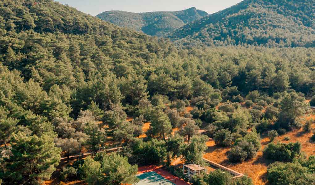 Vistas aéreas de los pinares y las zonas comunes del hotel Amanruya