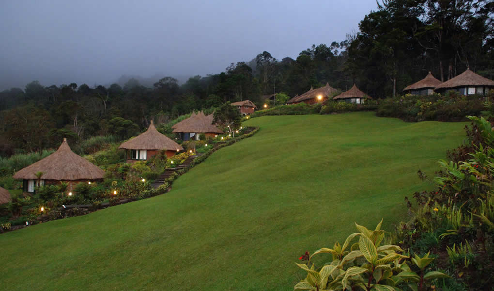 Ambua Lodge Jardines