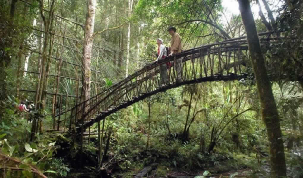 Ambua Lodge Excursiones