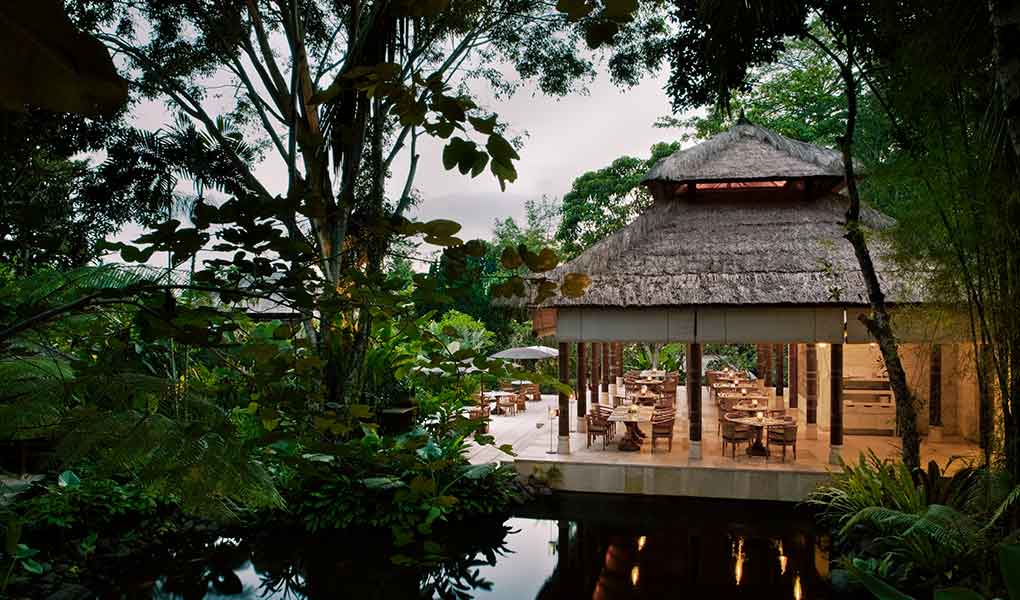 Restaurante exterior del hotel con vistas a la naturaleza