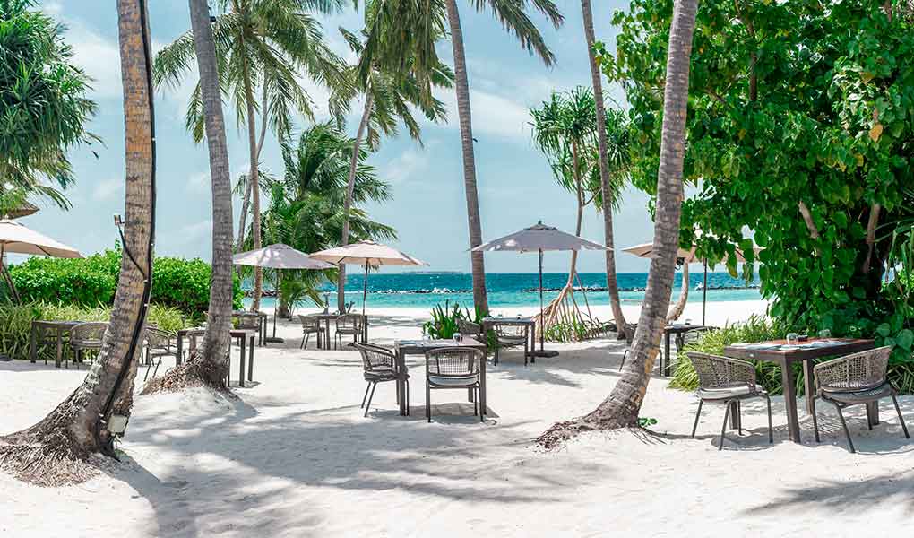 Playa con palmeras y vistas al mar en el hotel de lujo en Maldivas Dhigali Maldives