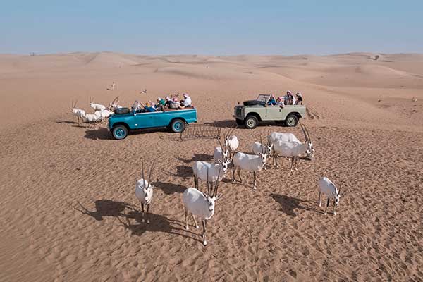 Visita desierto en familia