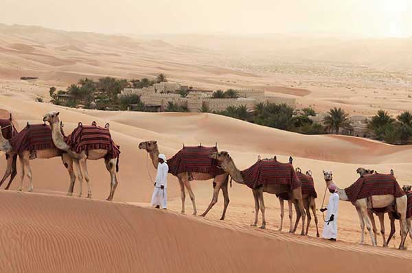 Camellos sobre el desierto Qasar Al Sarab
