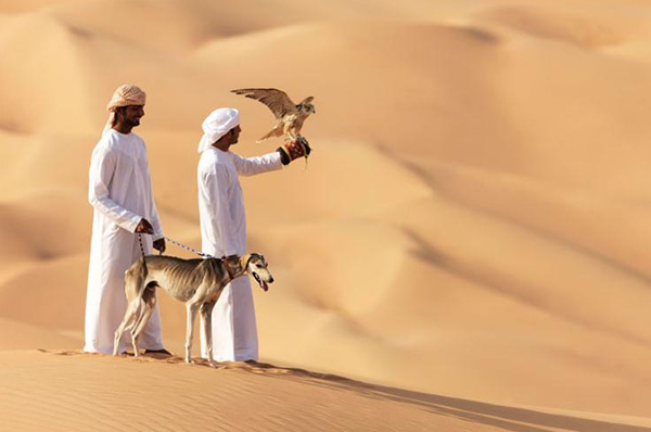 Hombres de blanco con halcón de fondo el desierto y dunas