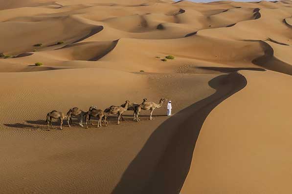 Paisaje del desierto con dunas y camélalas