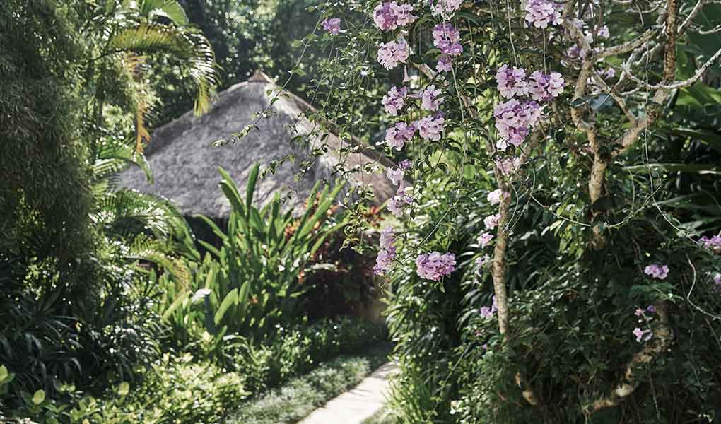 Jardines del resort de lujo en Bali Ubud