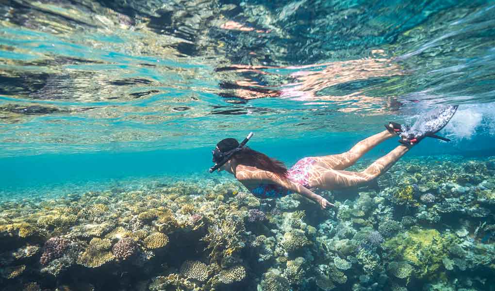 Buceo en el hotel de lujo Four Seasons Sharm El Sheikh