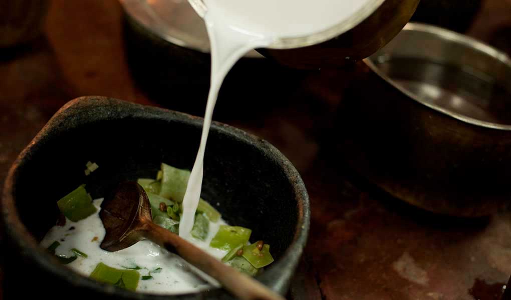 Elaboración de un plato de comida ayurveda en Kalari Rasayana
