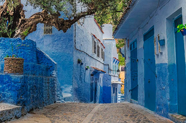 Calles tradicionales de Marruecos con árboles y casas pintadas en diferentes tonos de azul