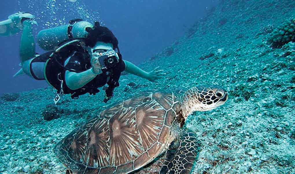 Persona buceando en el Mar Rojo en Hurgada PADI