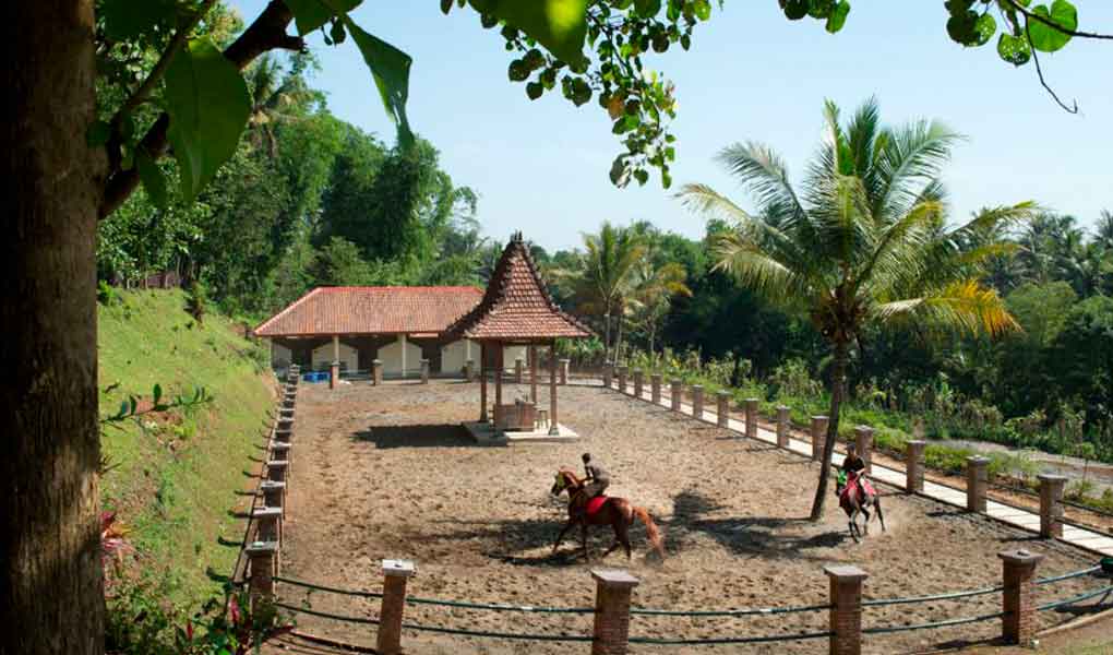 Zonas comunes exteriores del hotel en Borobudur