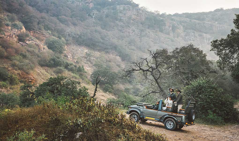 Safari en el Parque Nacional Ranthambore en hotel de lujo Six Senses Fort Barwara