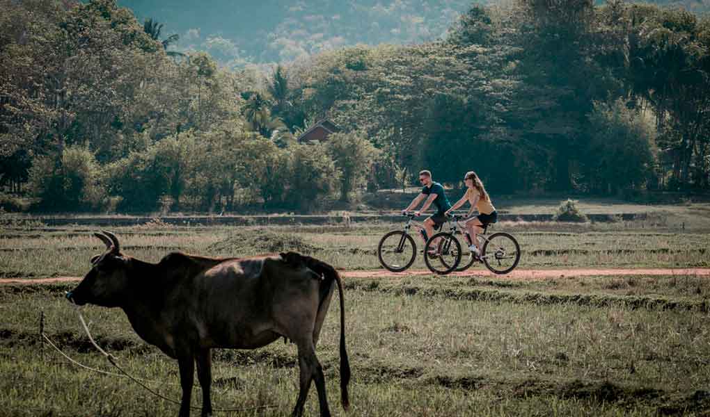 Paseo y excursiones en la naturaleza Tailandia