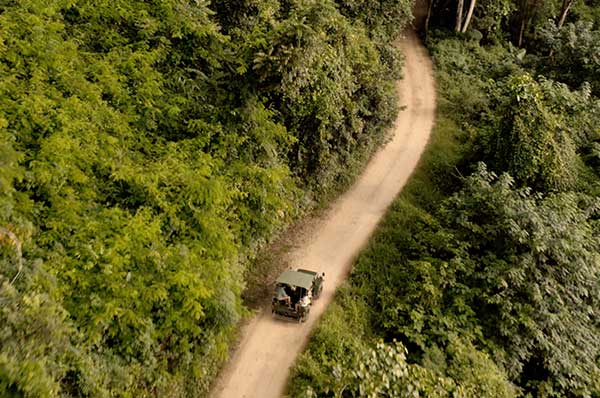 Excursión ver elefantes en libertad en Chiang Rai hotel de lujo