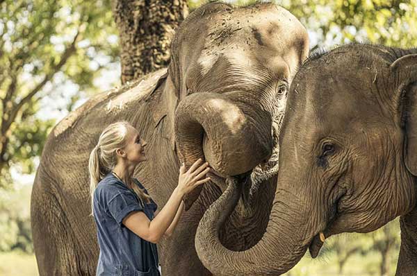 Una persona tocando un elefante en medio de la naturaleza