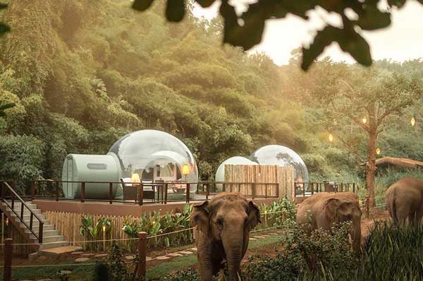 Actividades en el hotel de lujo Anantara Golden Triangle Elephant Camp