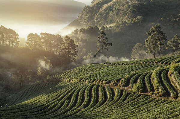 Excursión montañas del norte en Tailandia en Chiang Mai
