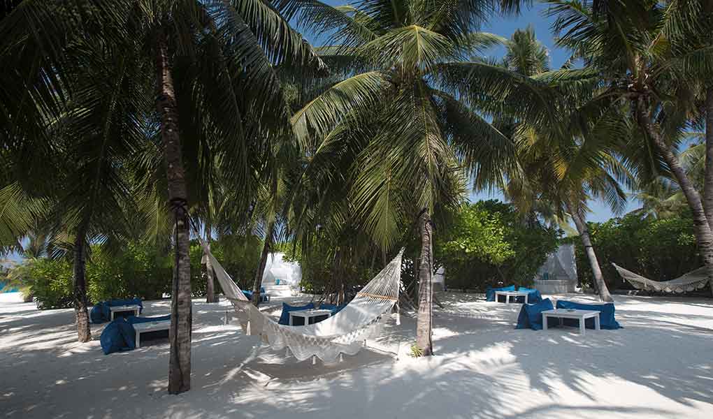 Zonas comunes del hotel con tumbones y palmeras en Maldivas