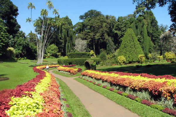 Viajes a Sri Lanka con playa. Jardín Botánico de Peradeniya