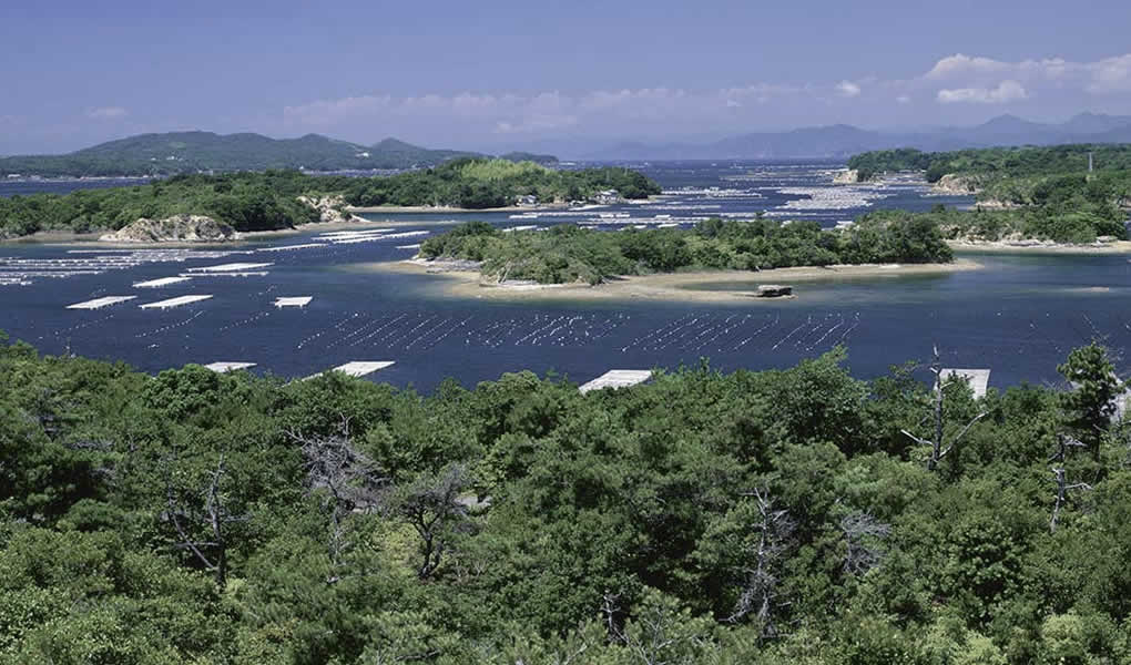 Amanenu Japón. Hotel de lujo en Japón