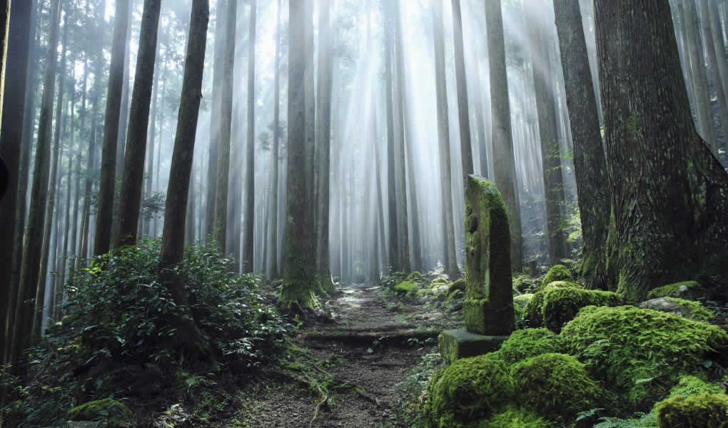 Amanenu Japón. Hotel de lujo en Japón