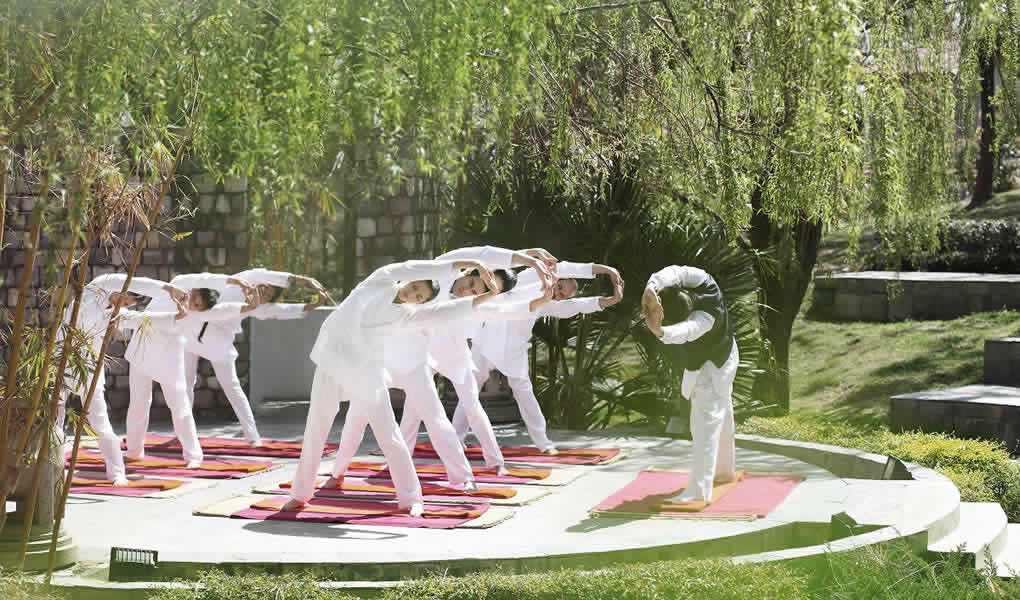 Personas haciendo Yoga en grupo