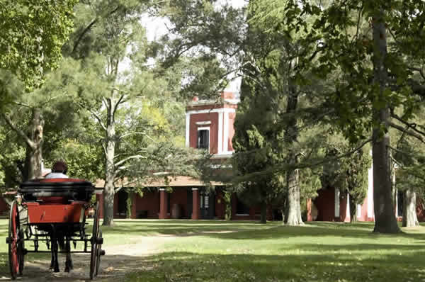 Entrada a la Bamba de Areco en Buenos Aires
