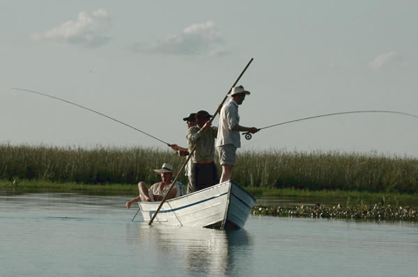 Excursiones pesca en los Esteros del Iberá Rincón del Socorro