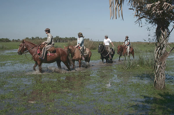 Excursiones a caballo en los Esteros del Iberá Rincón del Socorro