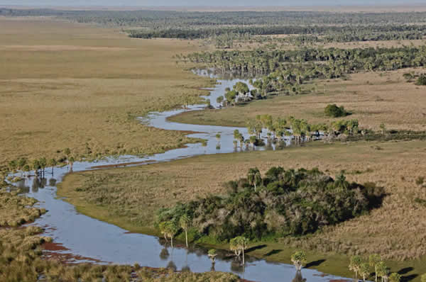 Vistas de los Esteros del Iberá Rincón del Socorro