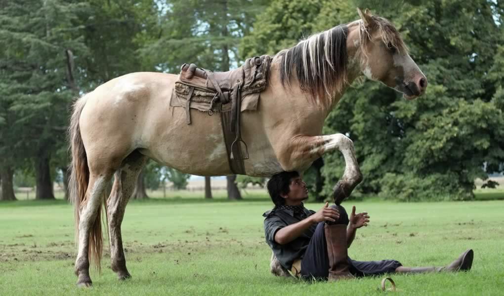 Domador caballo La Bamba de Areco