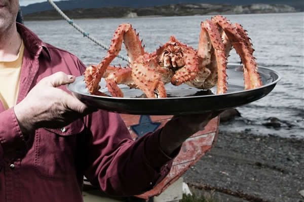 Pesca de Centolla en Ushuaia