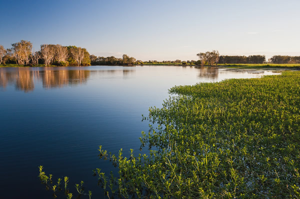Rio y vegetación en Darwin Australia