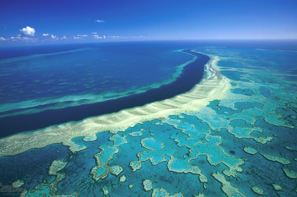 Barrera de coral en Cairns Australia oceano